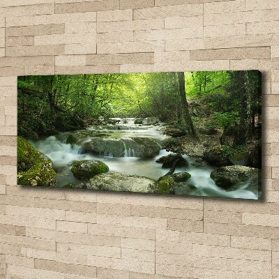 Canvas wall art Waterfall in the forest