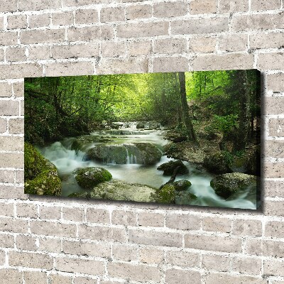 Canvas wall art Waterfall in the forest