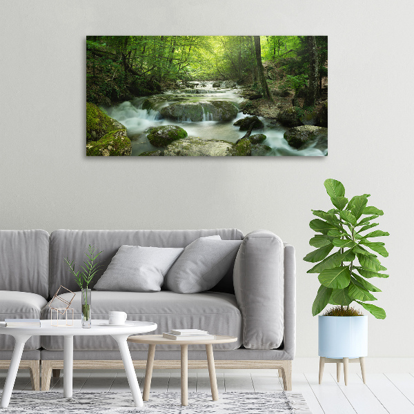 Canvas wall art Waterfall in the forest