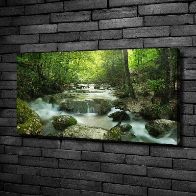 Canvas wall art Waterfall in the forest