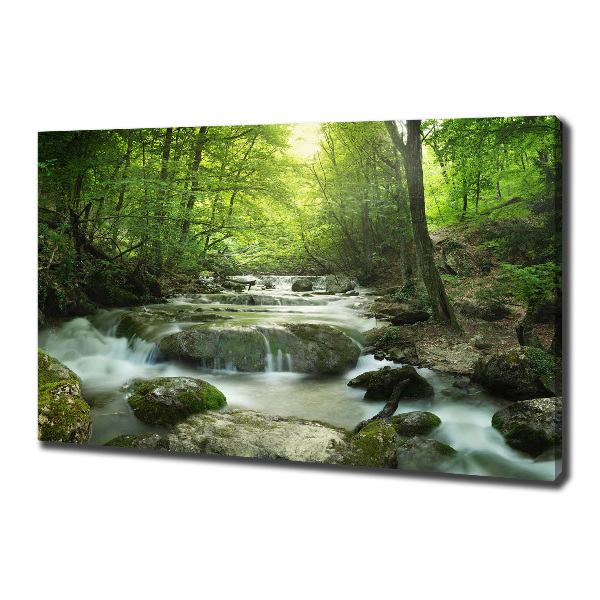 Canvas wall art Waterfall in the forest