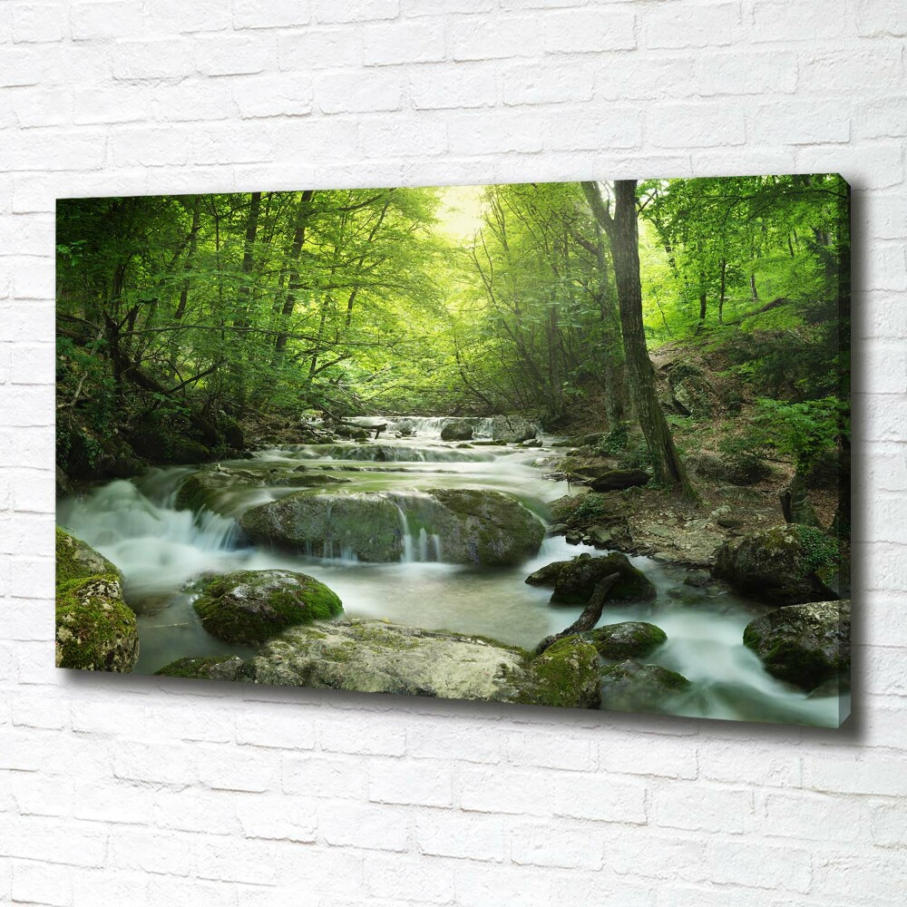 Canvas wall art Waterfall in the forest