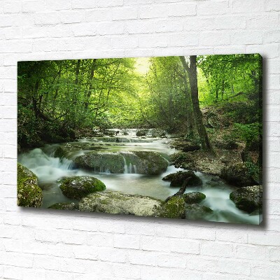 Canvas wall art Waterfall in the forest