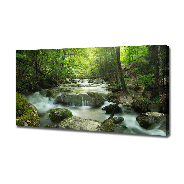 Canvas wall art Waterfall in the forest