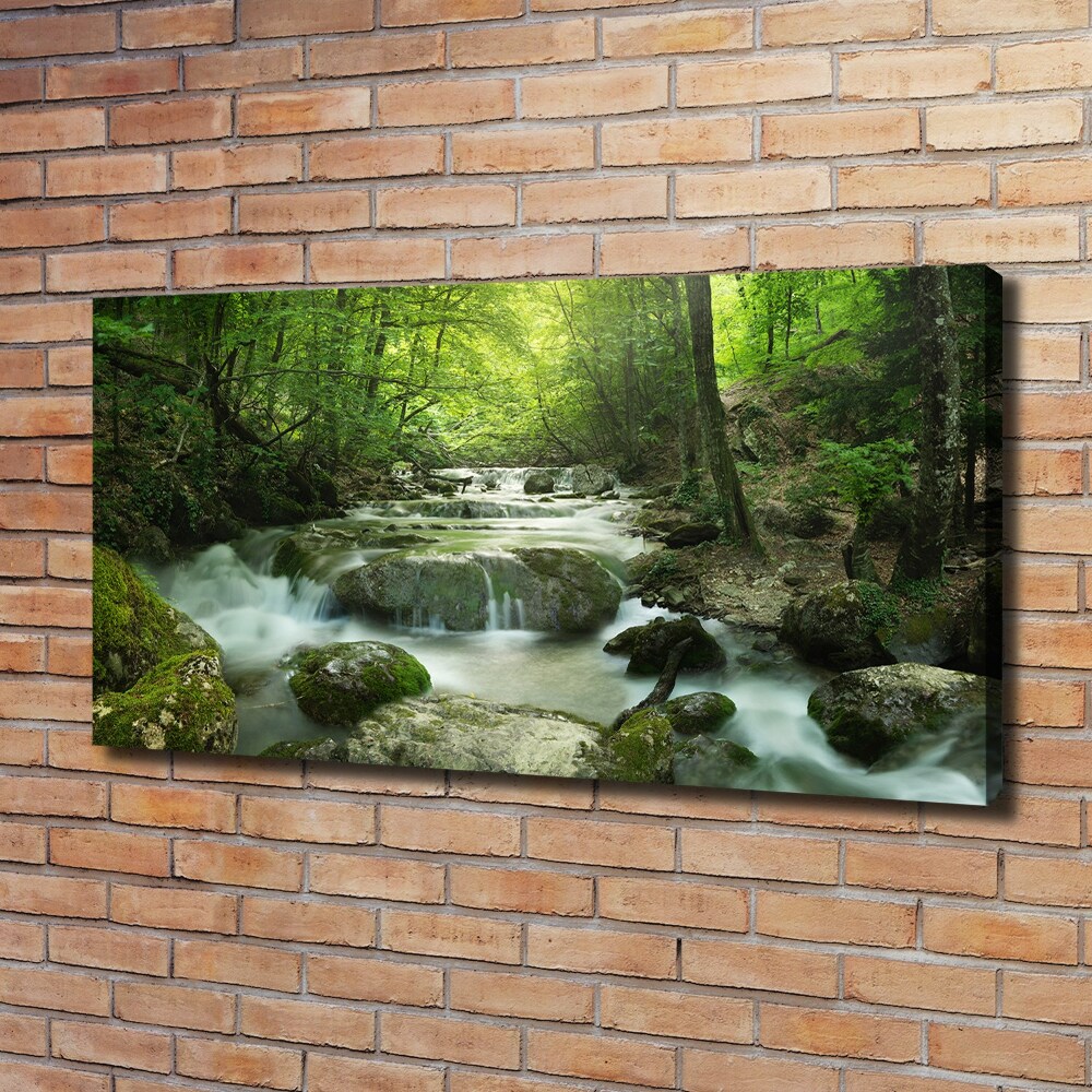 Canvas wall art Waterfall in the forest