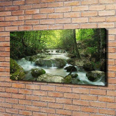 Canvas wall art Waterfall in the forest