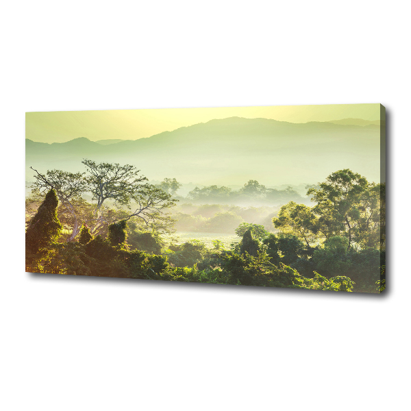 Canvas wall art Jungle