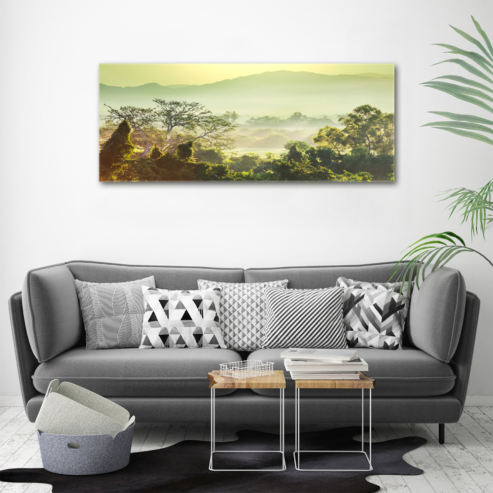 Canvas wall art Jungle