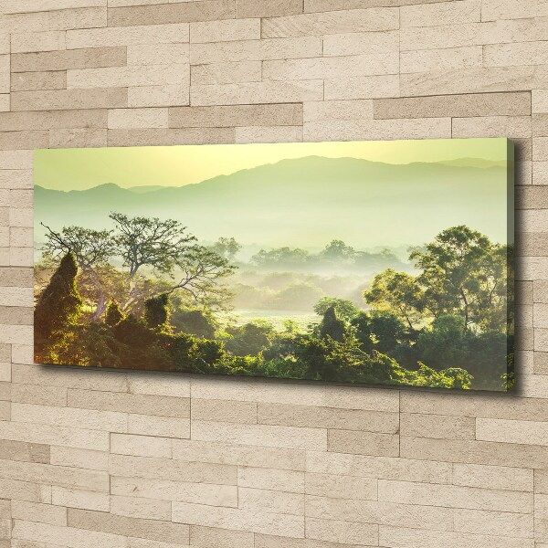 Canvas wall art Jungle