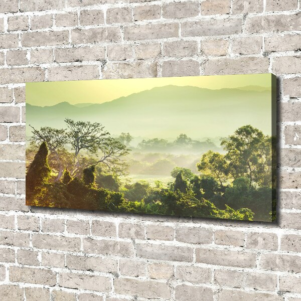 Canvas wall art Jungle