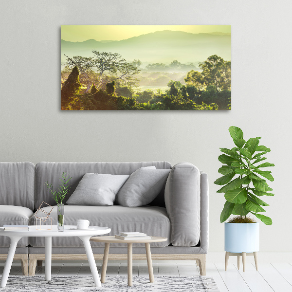 Canvas wall art Jungle