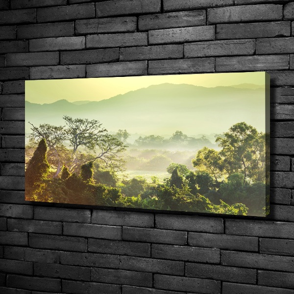 Canvas wall art Jungle