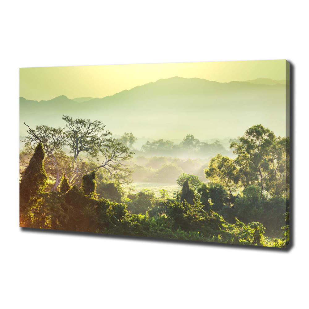 Canvas wall art Jungle