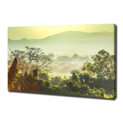 Canvas wall art Jungle