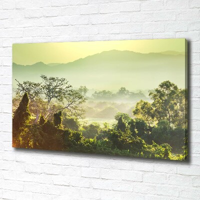 Canvas wall art Jungle