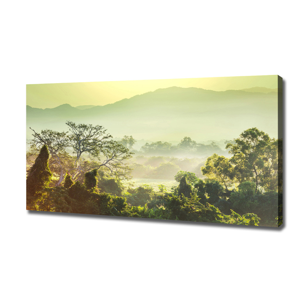 Canvas wall art Jungle