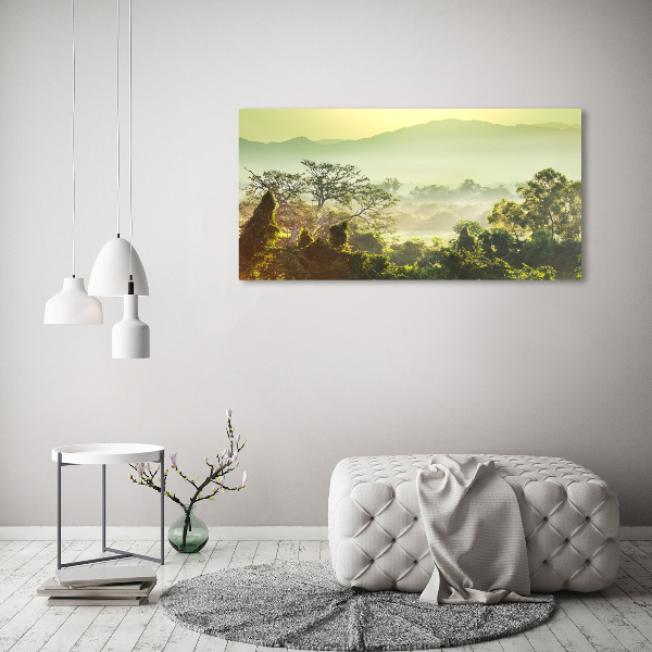 Canvas wall art Jungle