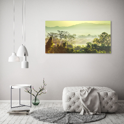 Canvas wall art Jungle