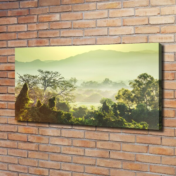 Canvas wall art Jungle