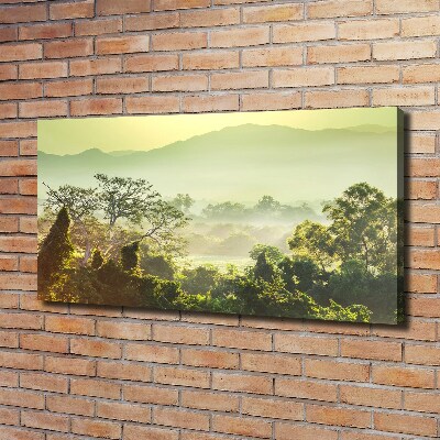 Canvas wall art Jungle