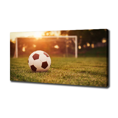 Canvas wall art Ball on the pitch