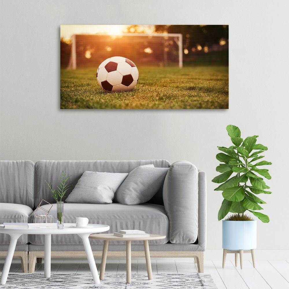 Canvas wall art Ball on the pitch