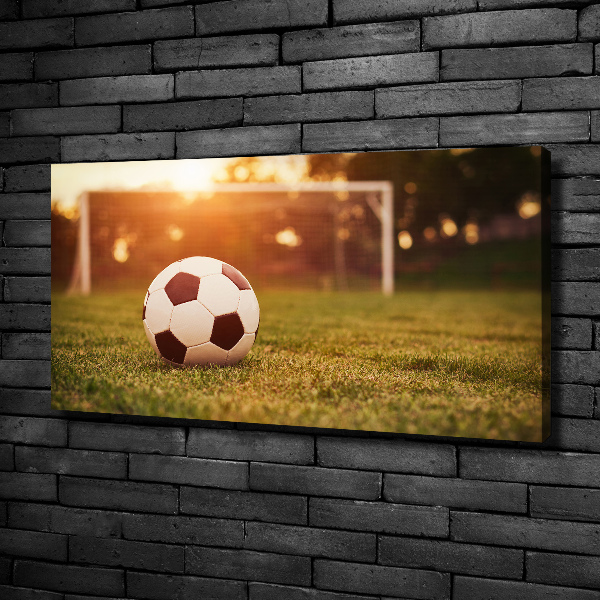 Canvas wall art Ball on the pitch