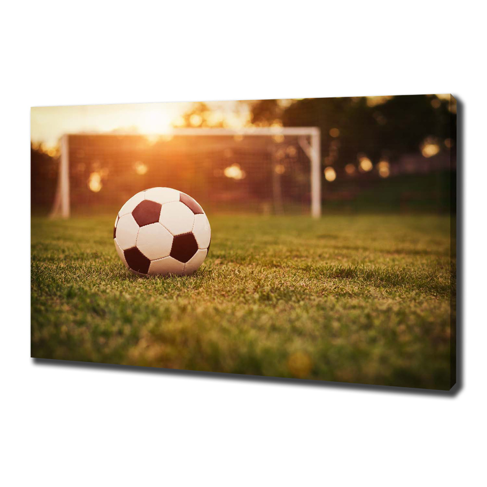 Canvas wall art Ball on the pitch