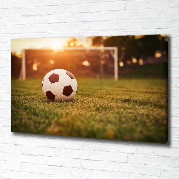 Canvas wall art Ball on the pitch