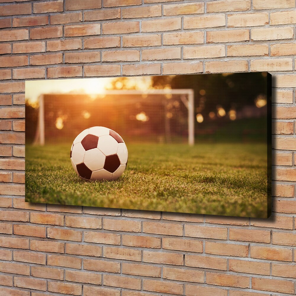 Canvas wall art Ball on the pitch