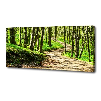 Canvas wall art Path in the forest