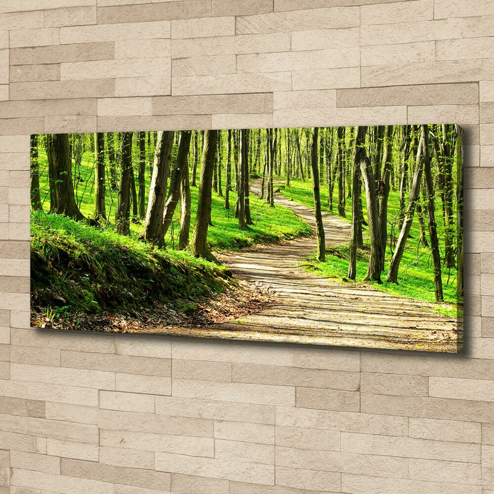 Canvas wall art Path in the forest