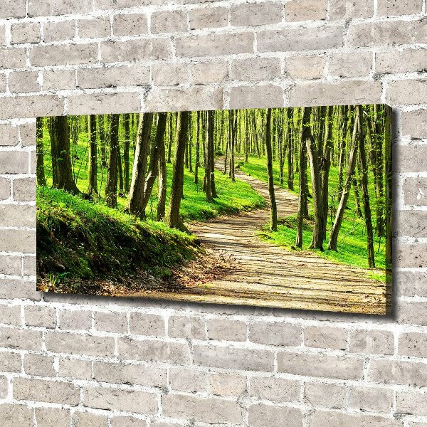 Canvas wall art Path in the forest