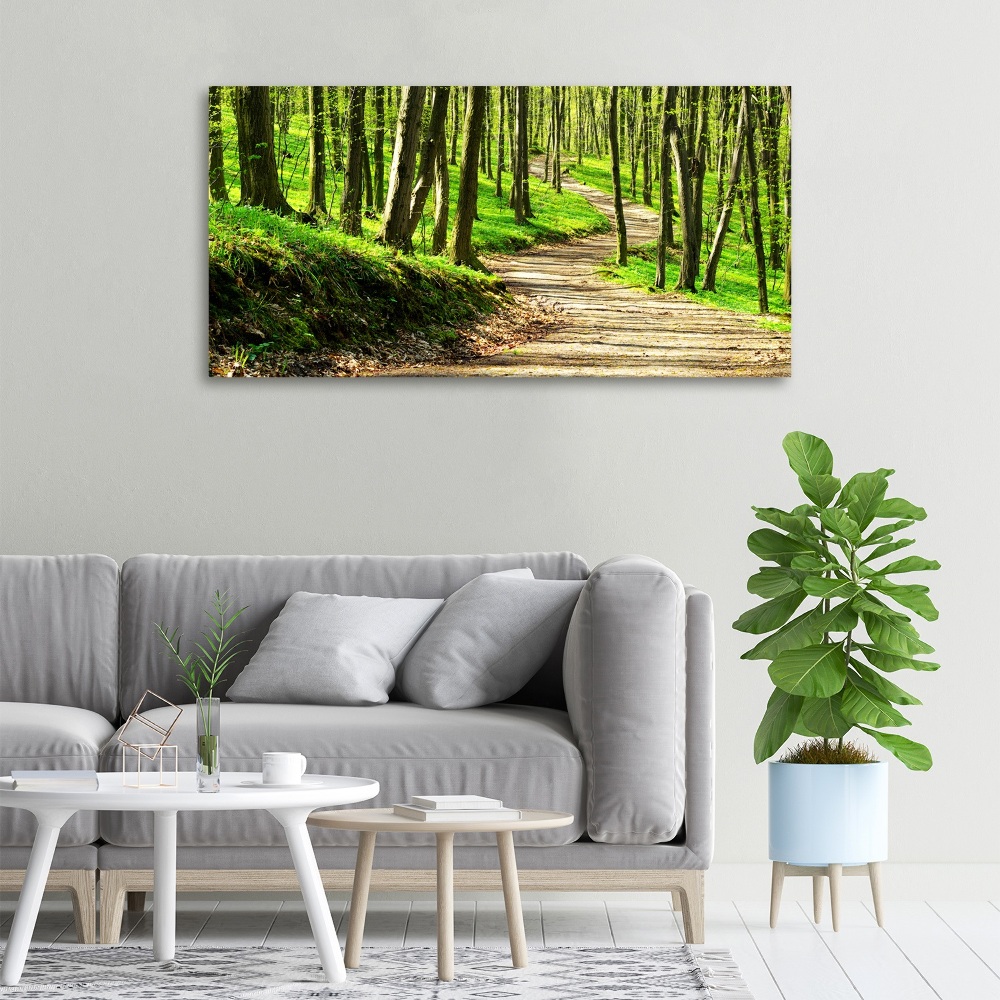 Canvas wall art Path in the forest