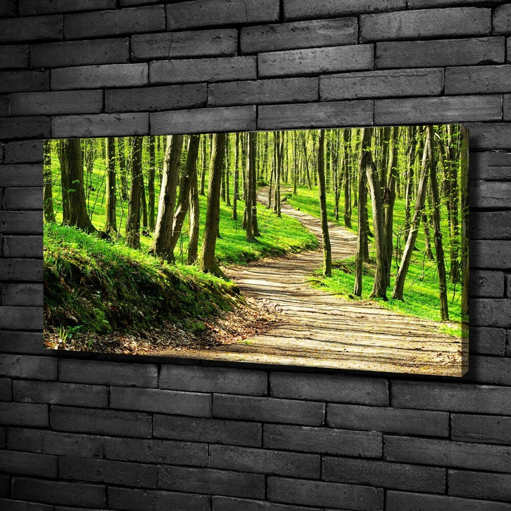 Canvas wall art Path in the forest