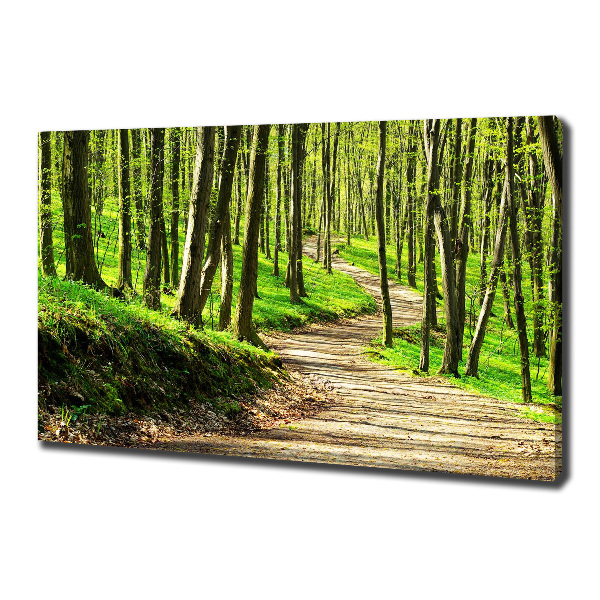 Canvas wall art Path in the forest