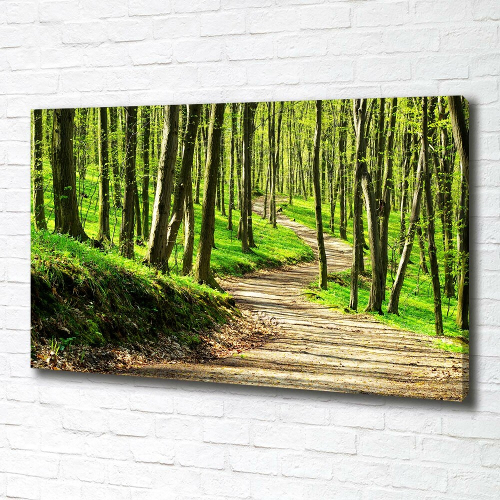 Canvas wall art Path in the forest