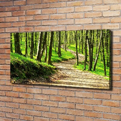 Canvas wall art Path in the forest