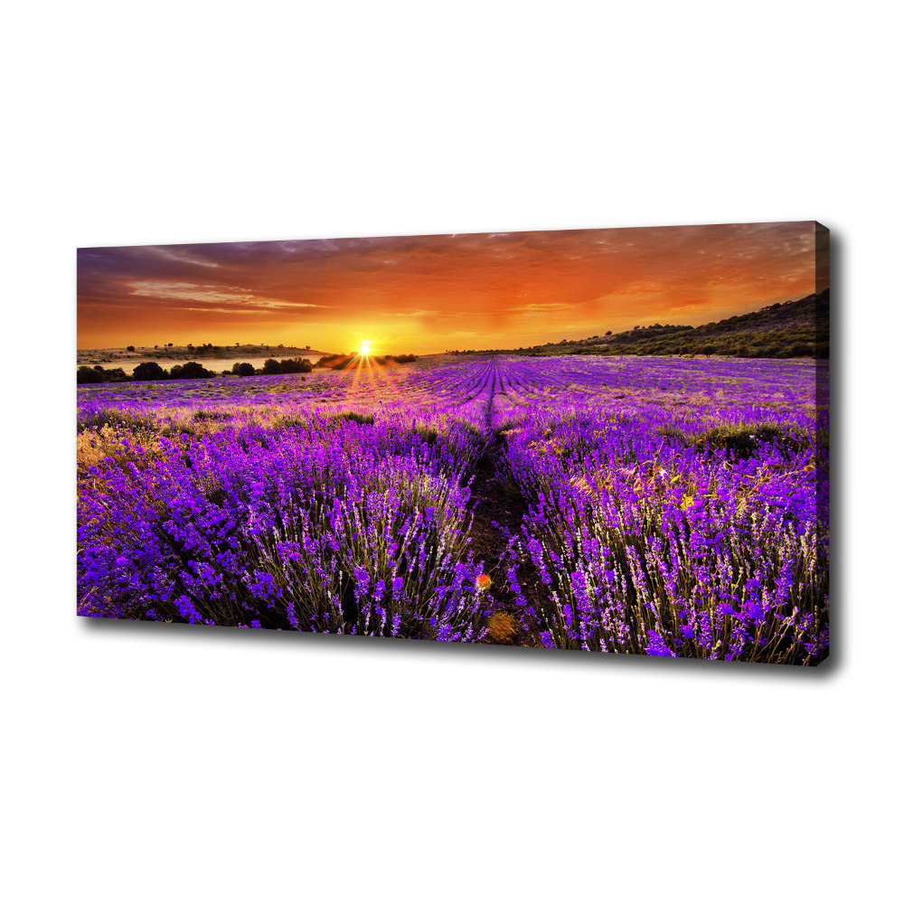 Canvas wall art Lavender field