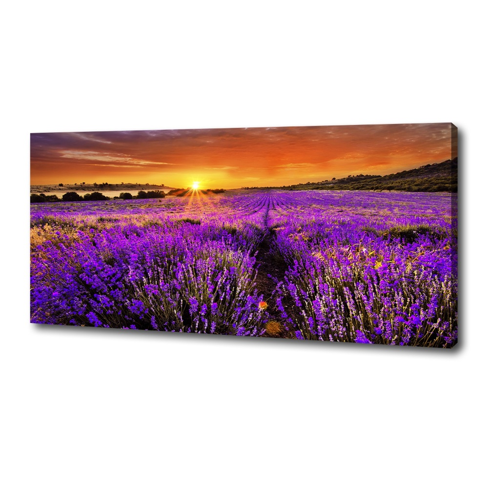 Canvas wall art Lavender field