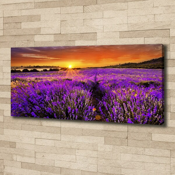 Canvas wall art Lavender field