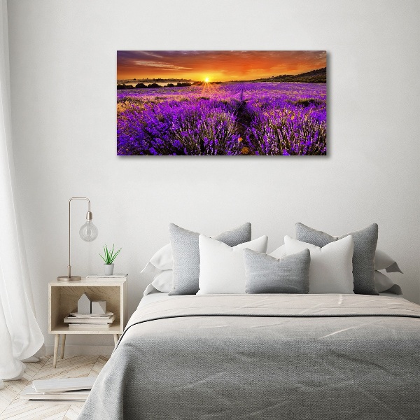 Canvas wall art Lavender field