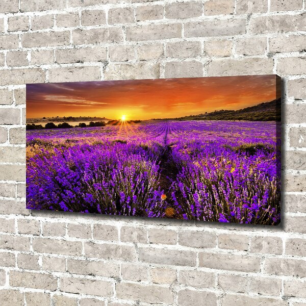 Canvas wall art Lavender field