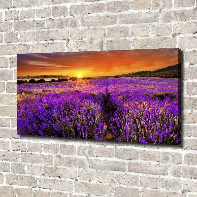 Canvas wall art Lavender field