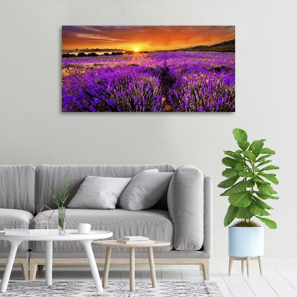 Canvas wall art Lavender field