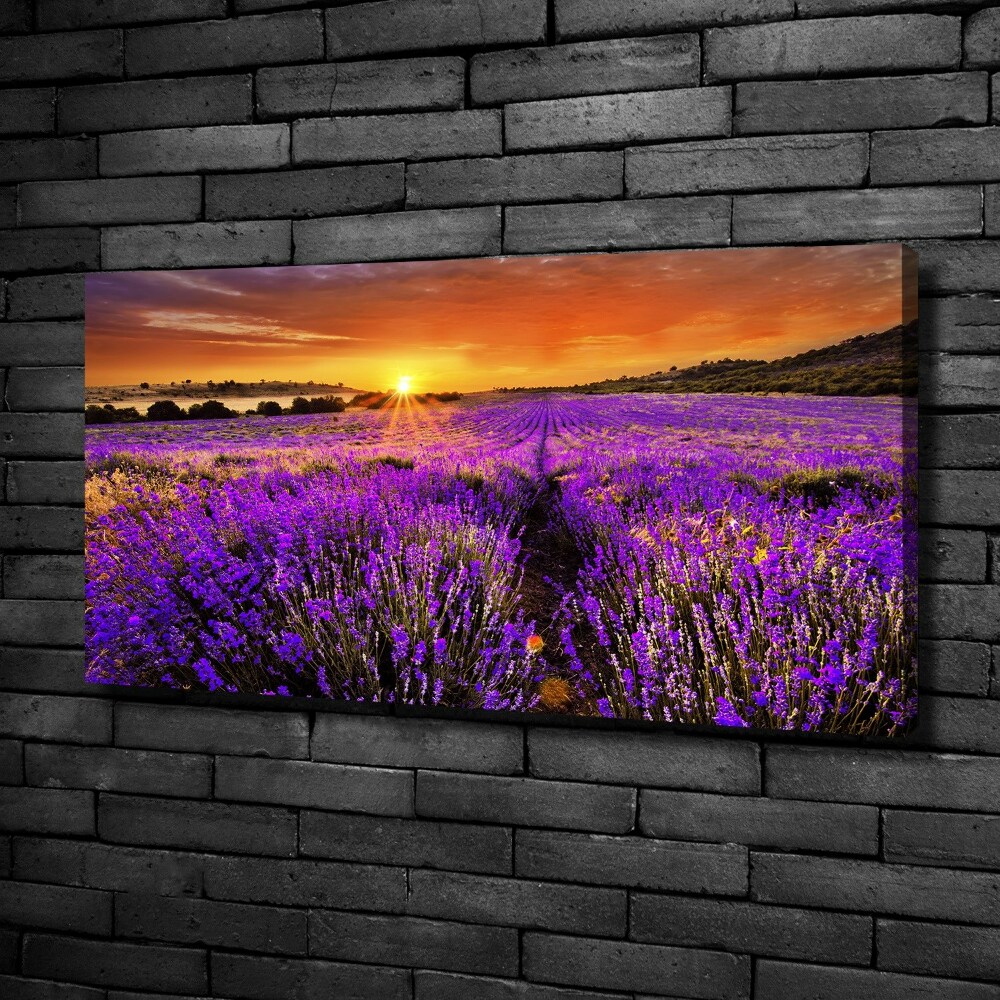 Canvas wall art Lavender field