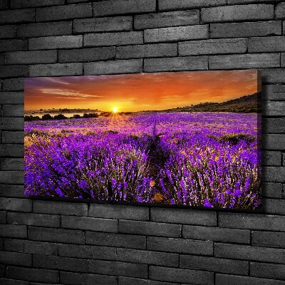 Canvas wall art Lavender field