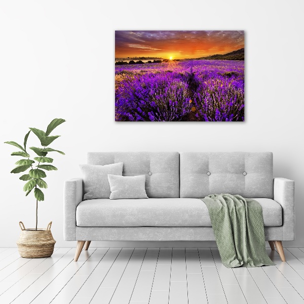 Canvas wall art Lavender field