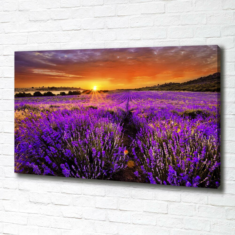 Canvas wall art Lavender field