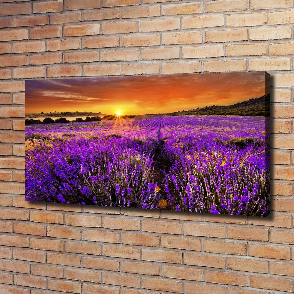 Canvas wall art Lavender field